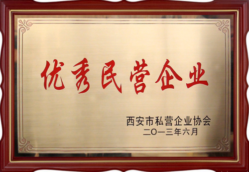 優(yōu)秀民營(yíng)企業(yè)