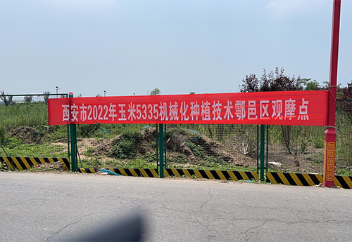 玉米5335機械化種植技術(shù)鄠邑區觀(guān)摩點(diǎn)